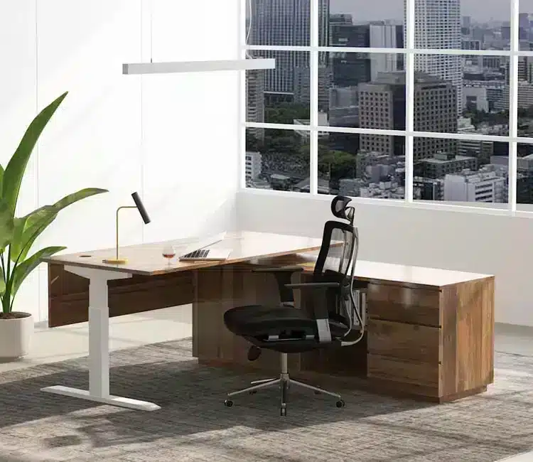 Chris Height Adjustable Desk