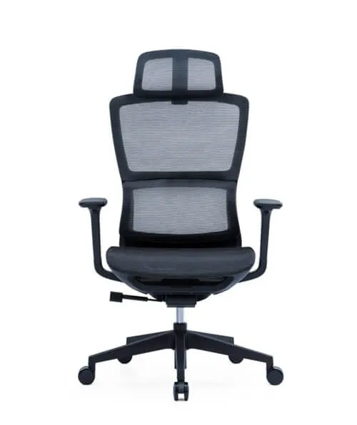 Mojo Black Ergonomic Chair