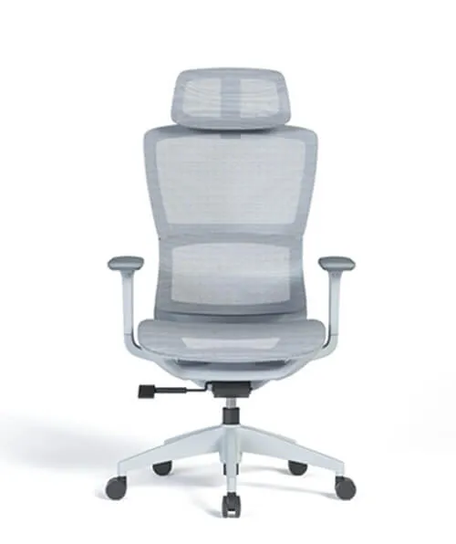 Mojo Ergonomic Chair