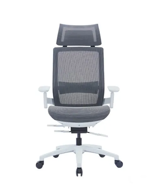 Nako Ergonomic Chair